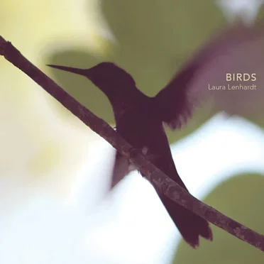 Birds by Laura Lenhardt - album cover