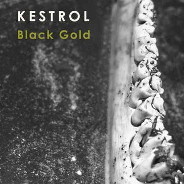 Black Gold by Kestrol - album cover