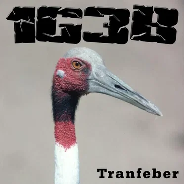 Tranfeber by 1G3B - album cover
