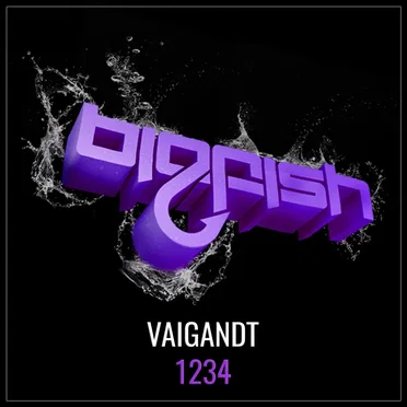 1234 by Vaigandt - album cover