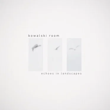 Echoes in Landscapes