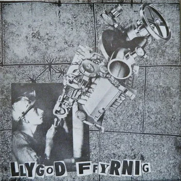 Llygod Ffyrnig by Llygod Ffyrnig - album cover
