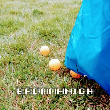Brommanich