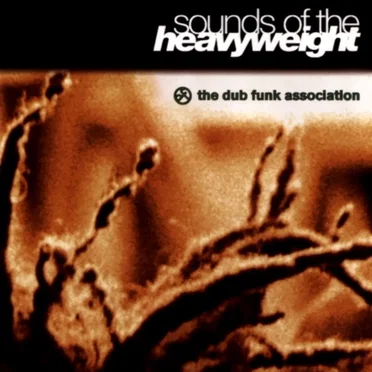 The Dub Funk Association