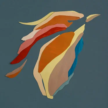 Pássaro-Cão by Bernardo Bauer - album cover