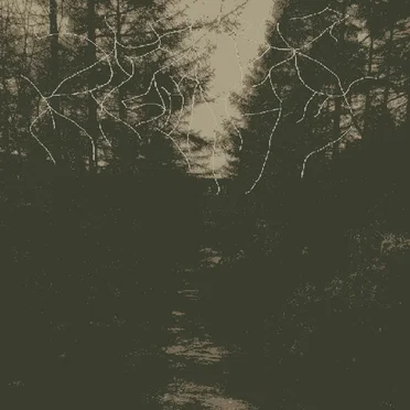 This Light That Decays by When Woods Make Graves - album cover