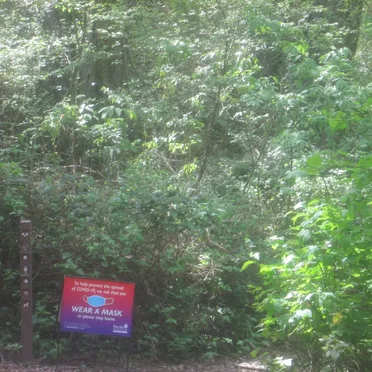 A Short Nature EP Where My Batteries Died and I Forgot Backups