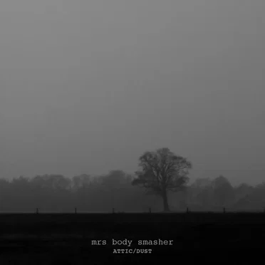 Attic/Dust by mrs body smasher - album cover