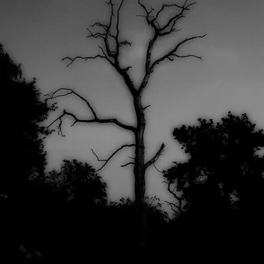 ʞu¡0ɹʞS