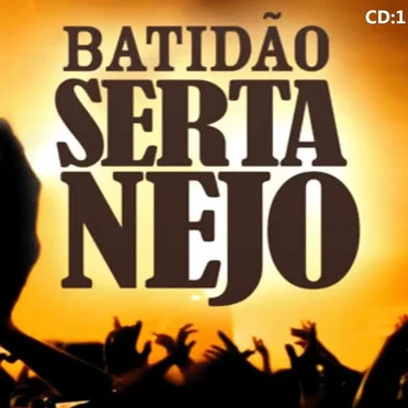 Coletânea batidão sertanejo by Various Artists - album cover