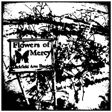 Flowers of Mercy
