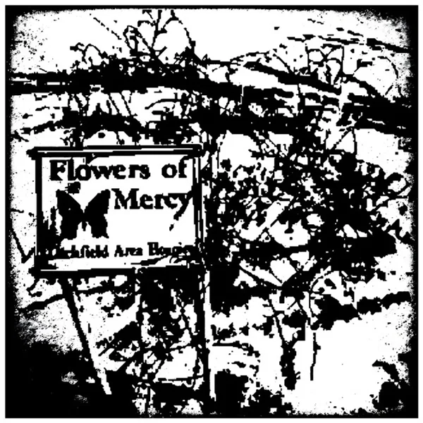 Flowers of Mercy