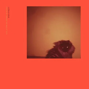 Live at the Heartbreak Hotel by Rob Stokes - album cover