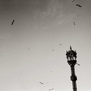 Una mala tarde la tiene cualquiera