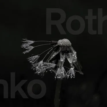 We Will Come Back To Haunt You