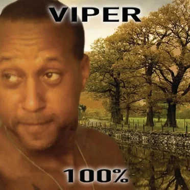 100% by Viper - album cover
