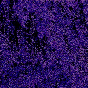 ⅋̷̪̀&̵͎͋⅋̸̥͗̉͂ͅ