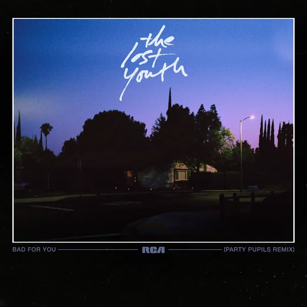 Bad For You (Party Pupils remix)