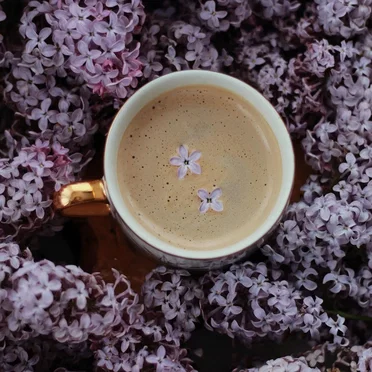 Music for a good Morning Coffee