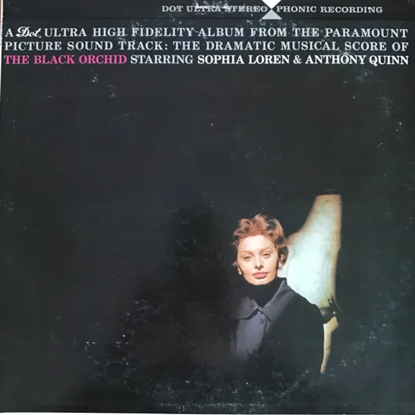 The Black Orchid