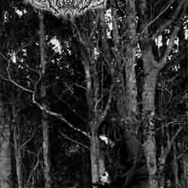 Through the Noose of Existance