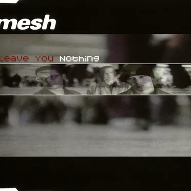 Leave You Nothing