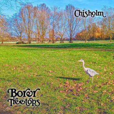 Chisholm by Borer Treetops - album cover