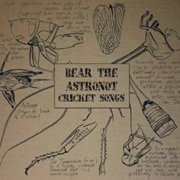 Cricket Songs