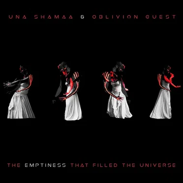 The Emptiness That Filled the Universe