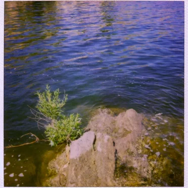 Learn From Water
