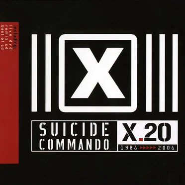 X.20: 1986-2006
