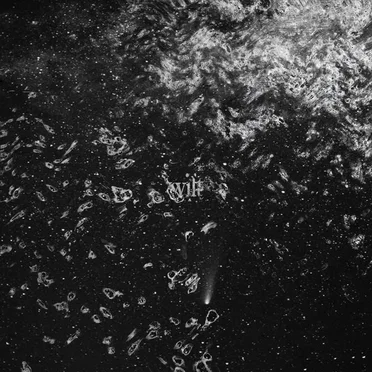 Wilt by Wilt, Oceans - album cover