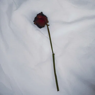 Unlucky in Love