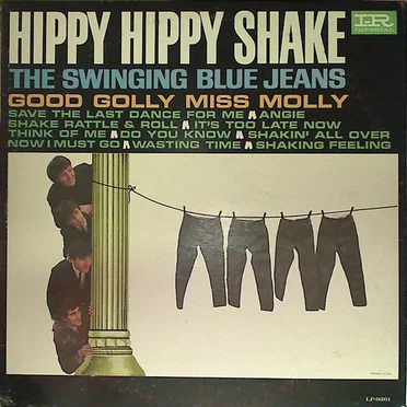 Hippy Hippy Shake