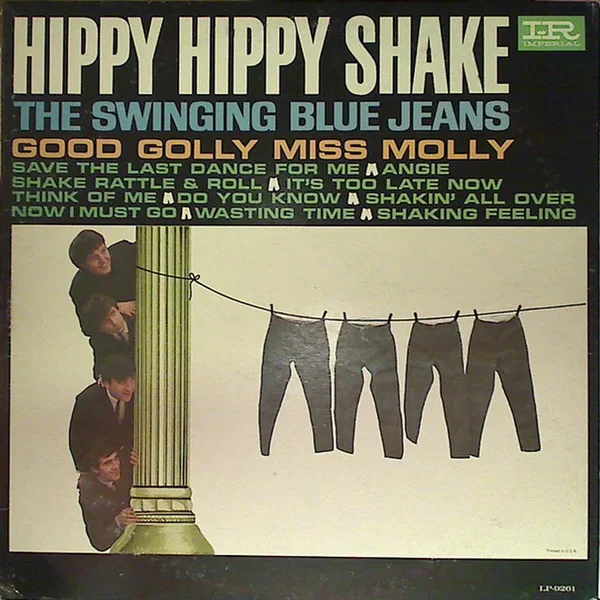 Hippy Hippy Shake