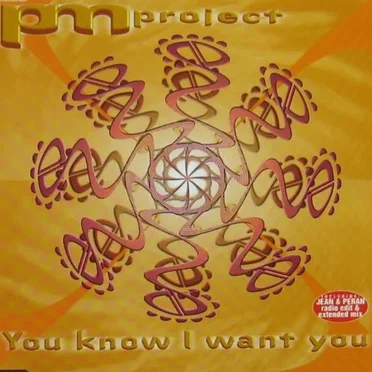 You Know I Want You by PM Project - album cover