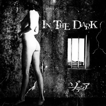 IN THE DARK by ゾディア - album cover
