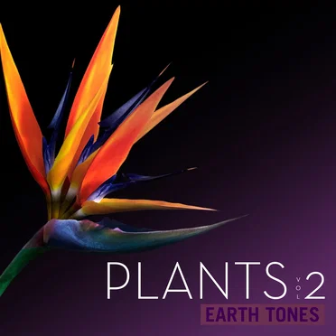 Plants, Vol. 2