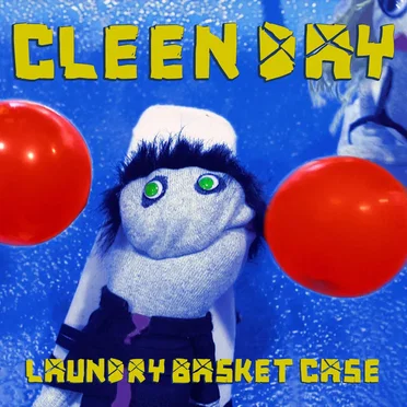 Laundry Basket Case
