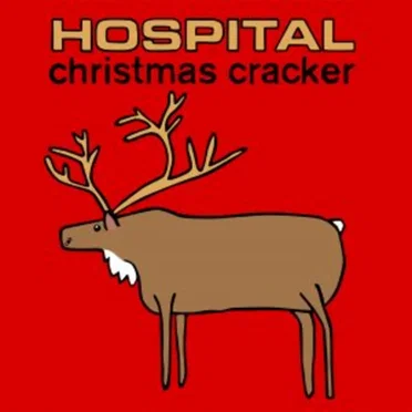 Hospital Christmas Cracker 2011 by Various Artists - album cover
