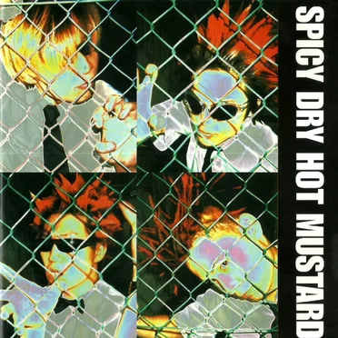 ZERO STORY by SPICY DRY HOT MUSTARD - album cover