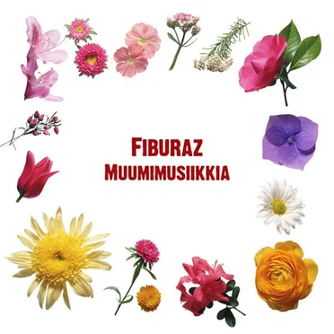 Muumimusiikkia by Fiburaz - album cover