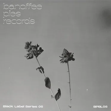 Black Label Series 05 by Various Artists - album cover