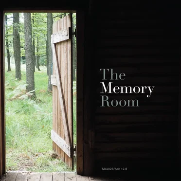 The Memory Room