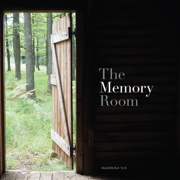 The Memory Room