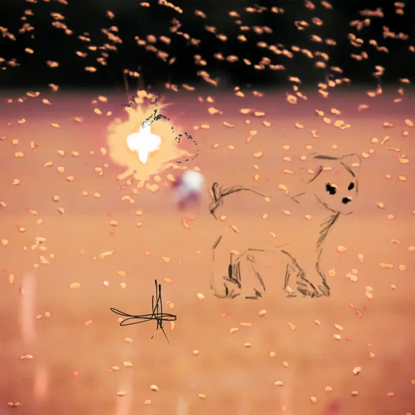 Have You Had Enough/Koto