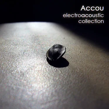 ElectroAccoUstic