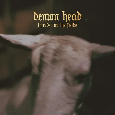 Thunder on the Fields by Demon Head - album cover