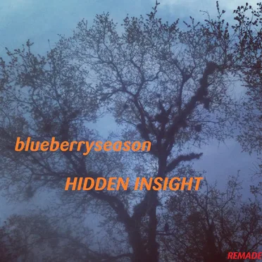Hidden Insight / Hidden In Sight