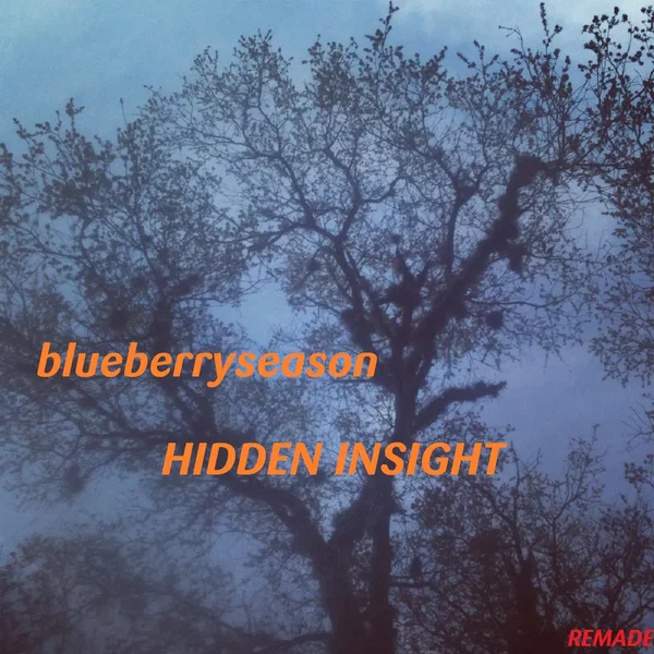 Hidden Insight / Hidden In Sight